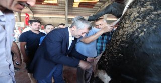 Başkan Tahmazoğlu Kurban Kesim Yerlerini İnceledi