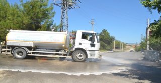 Safranboluda Kurban Bayramı Temizliği