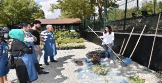 Ankarada Bahçe Hobi Eğitimine Yoğun İlgi