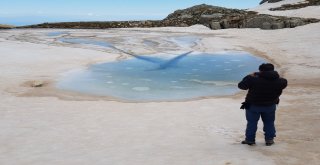 (Özel Haber) Kışın Üstünde Yürüdükleri Göllerde Yazın Yüzüyorlar