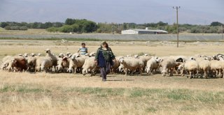 Genç Çiftçi Projeleri Tarıma Işık Tutuyor