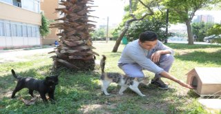 Küçükçekmecede Sokak Hayvanlarına Yem Ve Su Takviyesi