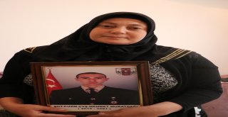 Afrin Şehidinin Annesi: “Devlet Teröristleri Beslemesin, İdam Etsin”