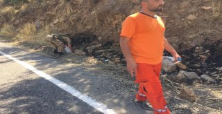 Beytüşşebapta Orman Yangını