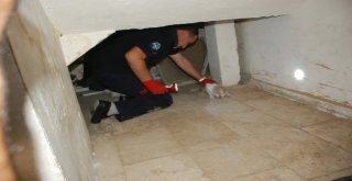 Mahsur Kalan Kedi Kurtarma Ekiplerine Zor Anlar Yaşattı