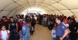 13 Bin Suriyeli Bayram İçin Gitti