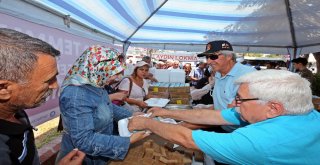 Kıbrıs Şehitleri Efelerde Anıldı