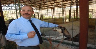 Ustaoğlu: “Paralar, Bu Millete Hizmet Olarak Dönüyor”