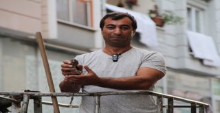 (Özel) Esenyurtta  Pencerenin Korkuluğunda Aç Susuz Mahsur Kalan Kuşu Kurtarma Operasyonu Kamerada