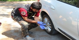 Narkotik Köpekleri Zehir Tacirlerinin Kabusu Olmaya Devam Ediyor