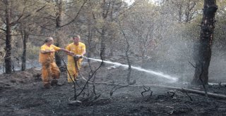 Yalova Orman Yangınlarına Karşı Teyakkuzda