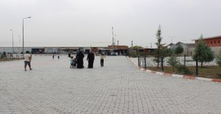 Suriyeliler Kampta Mutlu Ama Ülkelerine Dönmek İstiyor