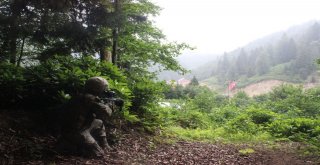 Jöperler İlk Defa Bu Kadar Yakından Görüntülendi