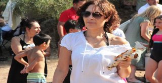 Hayırsever İşadamı Lüks Yatı İle Geldi, Halk Plajında Lahmacun Ayran Dağıttı