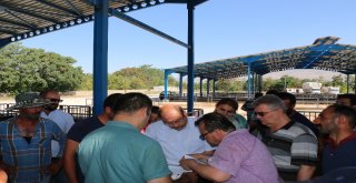 Erzincanda Genç Çiftçiler Koyunlarına Kavuştu