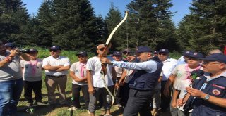 Uludağın Eteklerine 12 Ay Gençlik Kampı İnşa Ediliyor