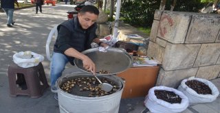 Kuzu Kestanesi Damaklara Hitap Ediyor