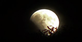 Kanlı Ay Tekirdağda Da Büyüledi