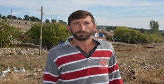 Ormana Çevrilen Meralar Hayvan Üreticisini Vurdu