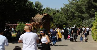 (Özel Haber) Gaziantep Hayvanat Bahçesi Rekorları Alt Üst Ediyor