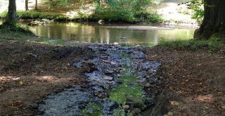 Dereye Resmi Araçla Kanalizasyon Atığı Dökülmesine Soruşturma