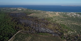 Çanakkalenin Yanan Ciğerleri Havadan Görüntülendi