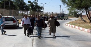 Suriyelilerin Türkiyeye Dönüşü Başladı