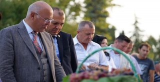 Trakya Bağ Bozumu Ve Ekoloji Festivali Başladı