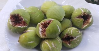 İncir Üreticisini Yaz Yağmurları Vurdu