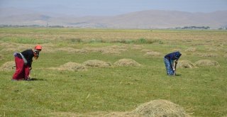 Salep Ekmek Kapısı Oldu