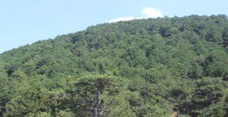 Şarlan Tabiat Parkında Rekreasyon Çalışmaları Devam Ediyor