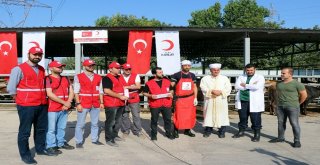 Başkan Erdoğanın Vekalet Kurbanı Sakaryada Kesildi