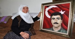 Öldürülen Kırmızı Listedeki Teröristin Şehit Ettiği Öğretmenin Ailesi Konuştu