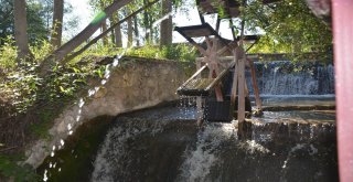 Doğayla Bütünleşen Park, Ziyaretçilerini Bekliyor