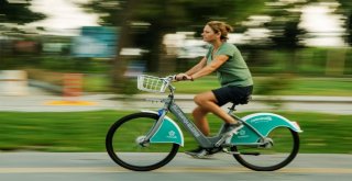 Photo Safaride Dereceye Giren Fotoğraflar Belli Oldu
