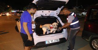 Jandarmadan Turizm Bölgelerinde ‘Huzur Operasyonu