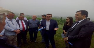 Dağın Tepesinde Kurulacak Olan Organize Sanayi Bölgesini Tanıttılar