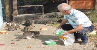 (Özel Haber) Bir Çok Kişi Öldürmeye, O Yaşatmaya Çalışıyor