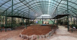 Nesli Tüketen Kelebekler İçin Gaziantepte Tropik Merkez Yapılıyor