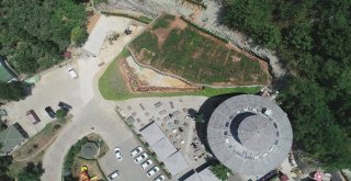 Trabzonda 450 Kişilik Hobbit Evi Yapıldı