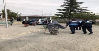 Bolvadinde Dilenci Operasyonu