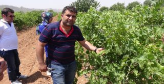 Gercüşte Çiftçilere Eğitim