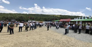 Sekmen Koşapınarlıların Festival Coşkusuna Ortak Oldu