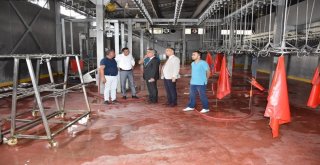 Genç Çiftçilere Küçükbaş Hayvanları Teslim Edildi