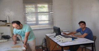 Toprak Mahsulleri Ofisi, Buğday Alımlarına Başladı