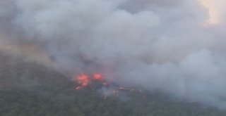 Çanakkale Yangınında Dehşete Düşüren Görüntüler