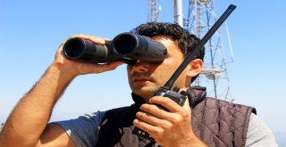 Gözler Ormanda, Ekipler Alarmda