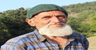 Hiç Evlenmedi, 30 Yıldır Dağda Tek Başına Yaşıyor