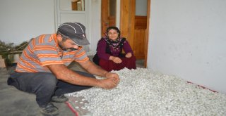 İpekböceği Kadınların Yüzünü Güldürdü