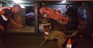 Bayram Trafiğinde Jandarmadan Köpekli, Dronelu Uygulama